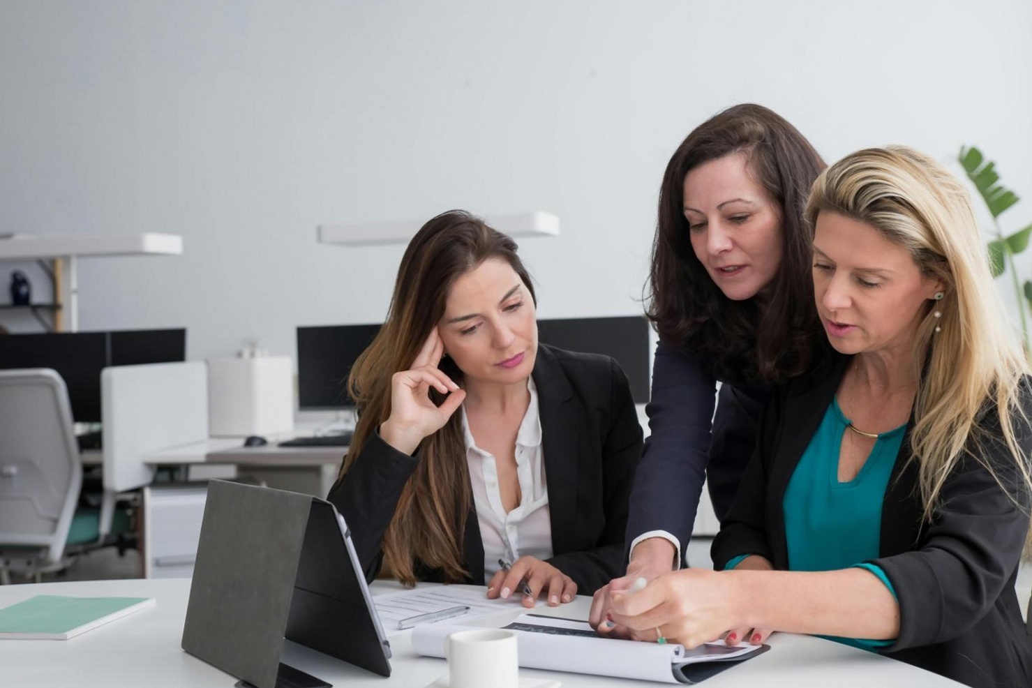 Professional wedding and celebration planning facilitation team
